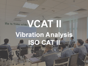 vibration analysis iso cat ii